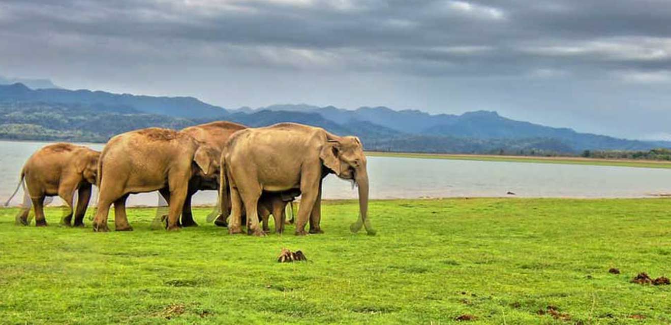 Nainital - Corbett Tour