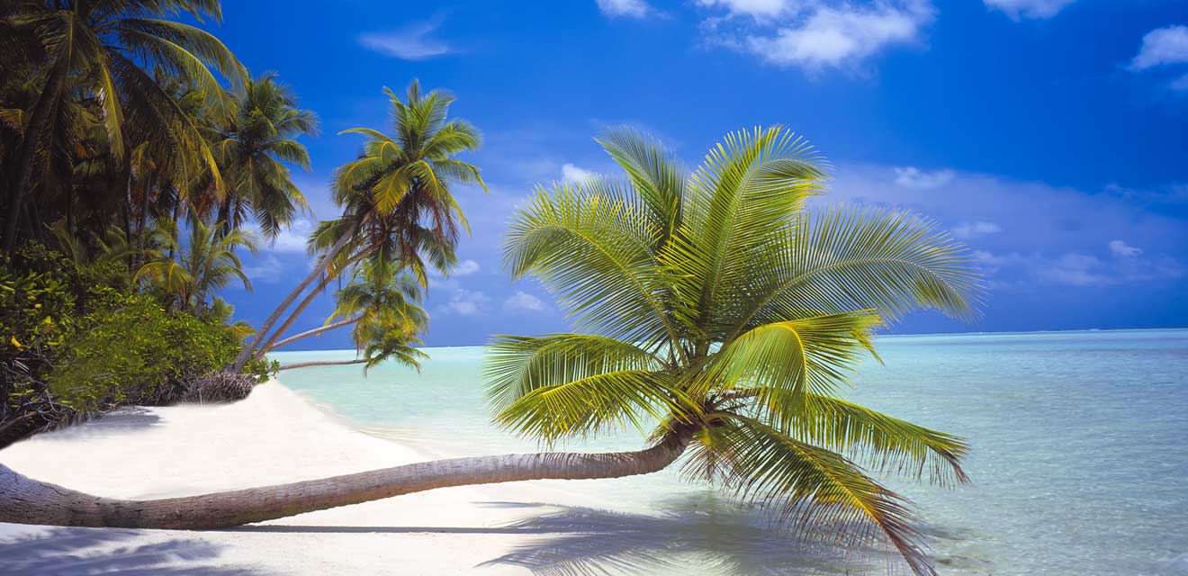 Wonders Of Thai Tour